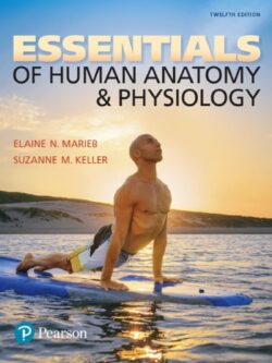Essentials of Human Anatomy and Physiology (12th Edition)