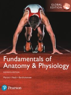 Fundamentals of Anatomy and Physiology (11th Global Edition)