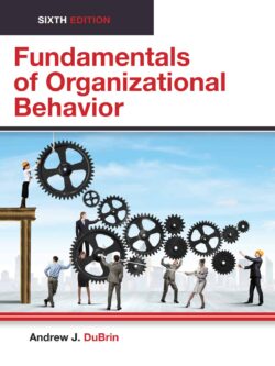 Fundamentals of Organizational Behavior (6th Edition)