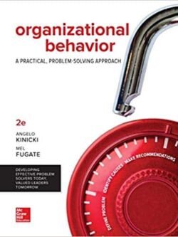 Organizational Behavior: A Practical, Problem-Solving Approach (2nd Edition)