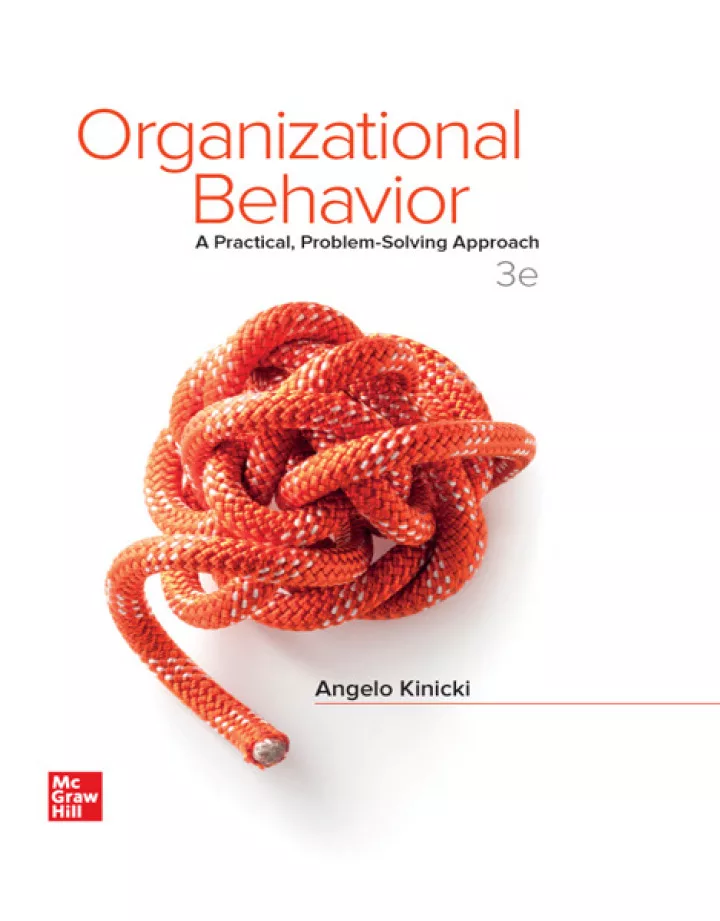 Organizational Behavior: A Practical, Problem-Solving Approach (3rd Edition)