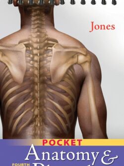 Pocket Anatomy and Physiology (4th Edition)